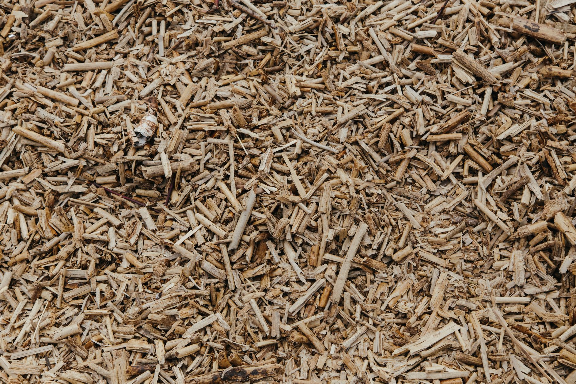 wood waste nanocellulose